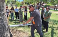 Rancagua incorpora tecnología de punta para el cuidado de árboles