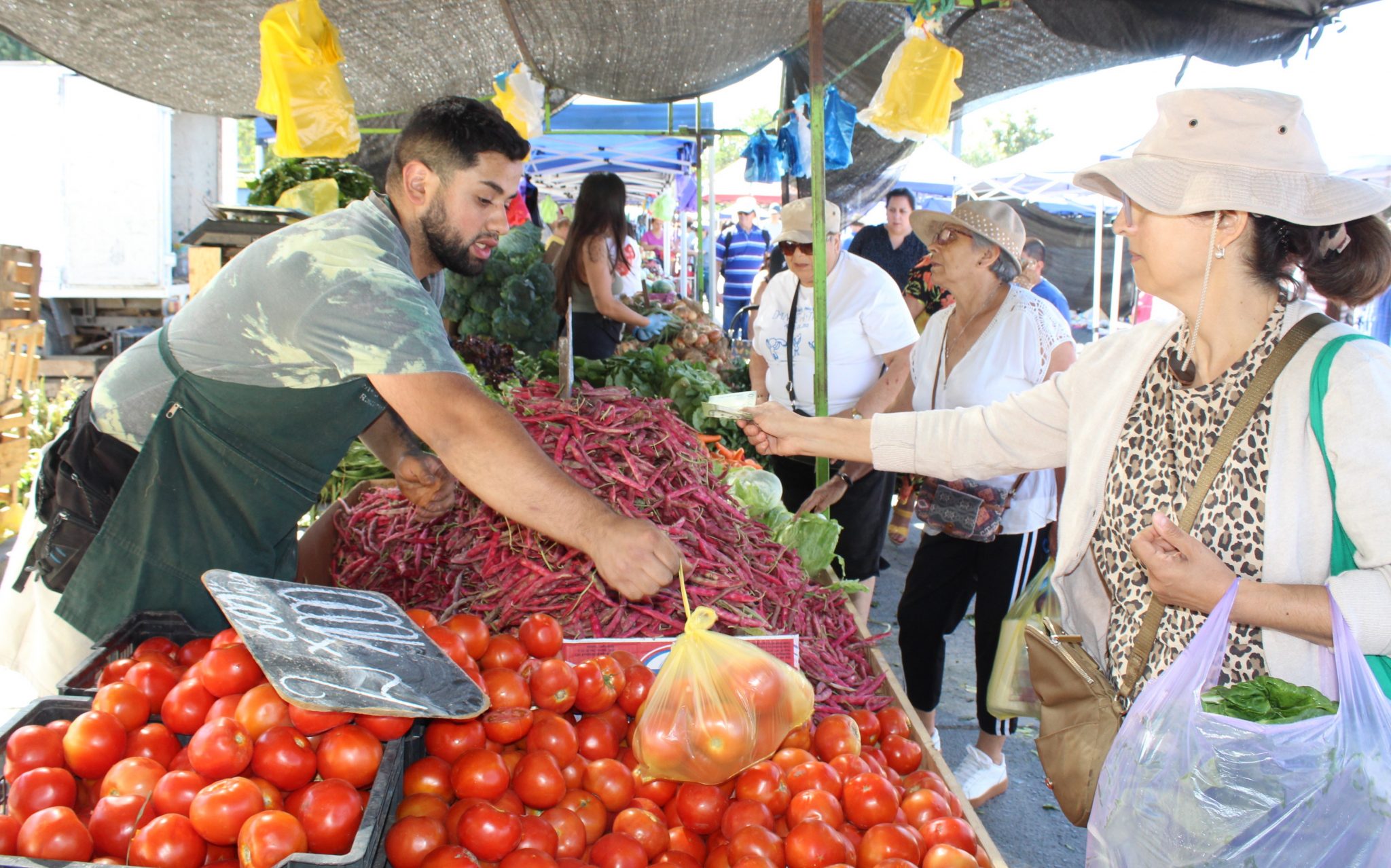Seremi de Agricultura destaca calidad y precios de los productos en Ferias Libres de O’Higgins