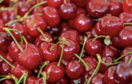 Fedefruta reitera llamado a mantener altos estándares de calidad frente a baja de precio de cerezas en China