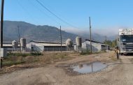 Superintendencia del Medio Ambiente formula cargos contra titular del Plantel de cerdos Leñadura-Nancagua