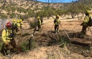 CONAF O’Higgins ha superado en un 20% la construcción de cortafuegos planificada en el territorio
