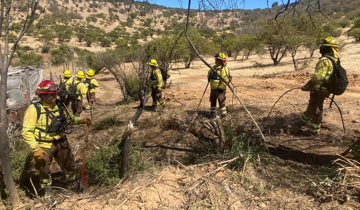 CONAF O’Higgins ha superado en un 20% la construcción de cortafuegos planificada en el territorio