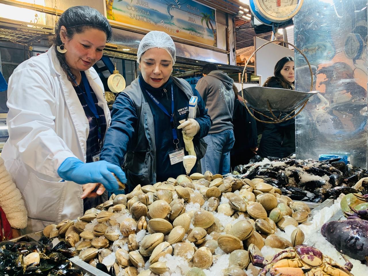 Semana Santa: Más de 100 kilos de mariscos han sido decomisados en O'Higgins