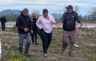 Diputada Romero solicita reactivar proyecto que endurece las penas por el robo de insumos agrícolas
