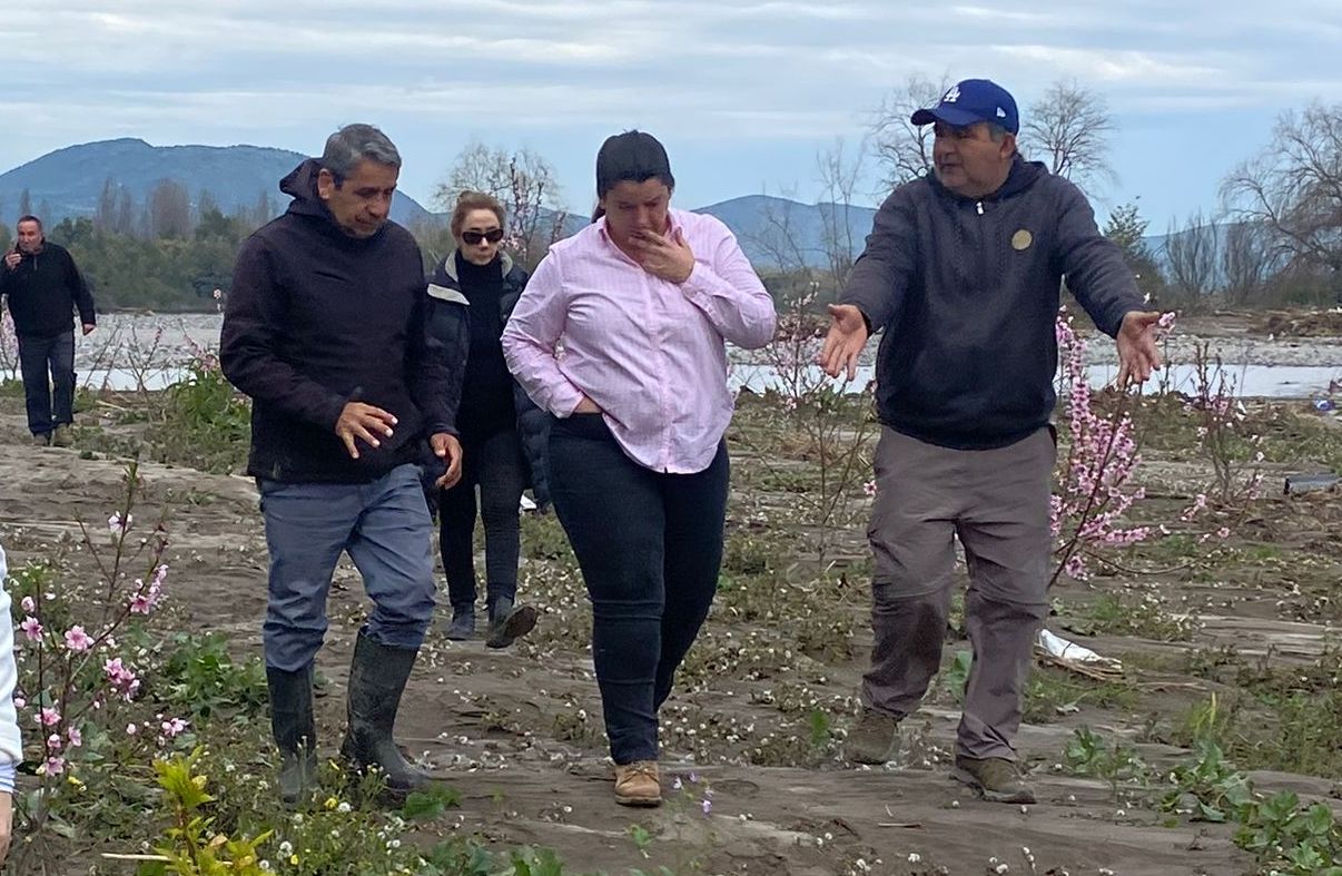 Diputada Romero solicita reactivar proyecto que endurece las penas por el robo de insumos agrícolas