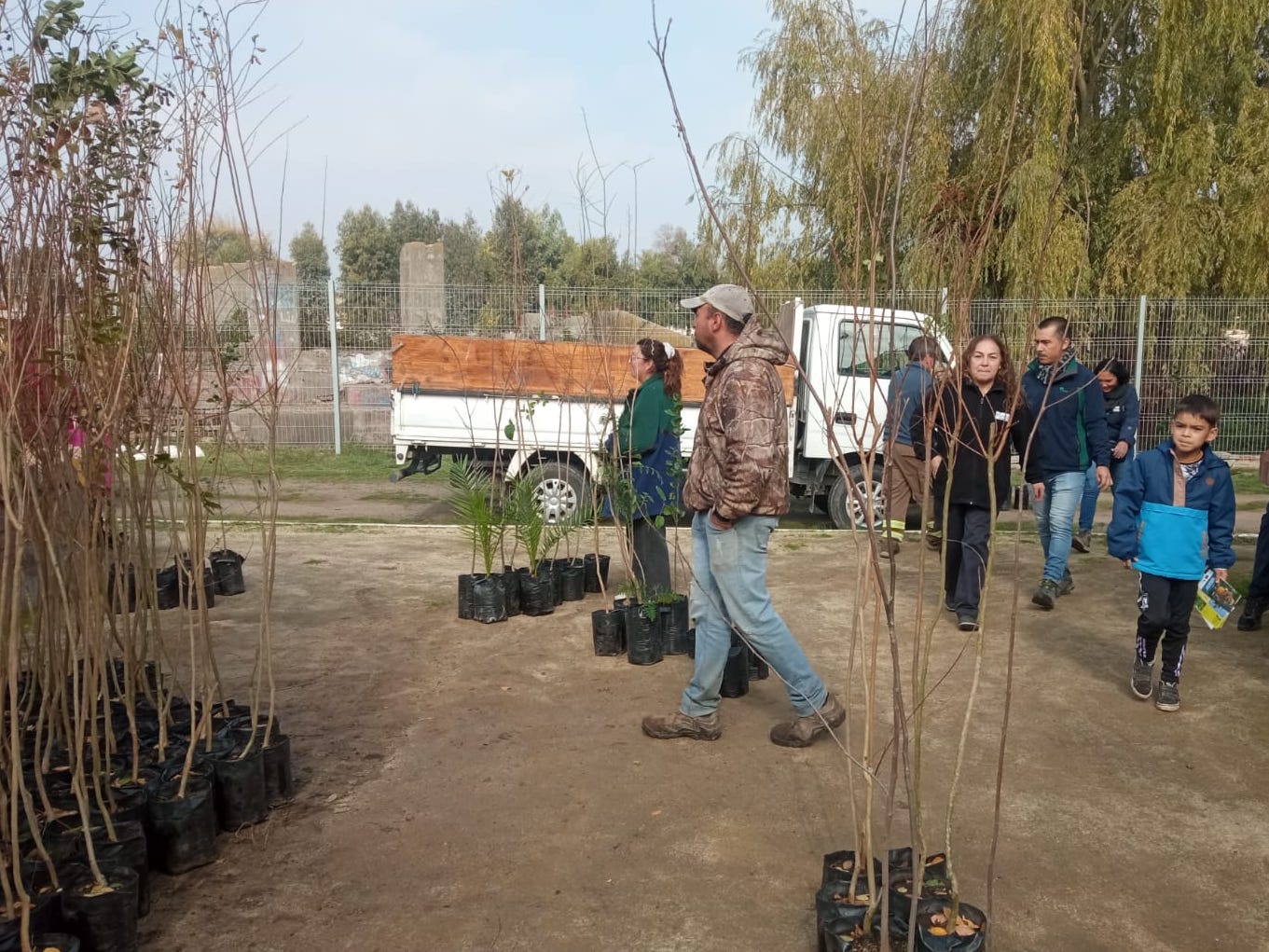 CONAF donó árboles a través del Programa de Arborización en la Provincia de Cachapoal