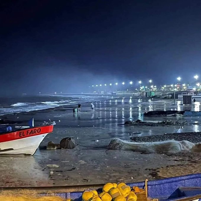 Pichilemu se convertirá en un nuevo punto estratégico de observación climática internacional