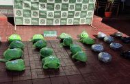 Rancagua: Encuentran 28 kilos de marihuana en vehículo chocado y abandonado en Ruta Bypass