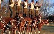Escuadrón Canino y Cuadro Verde de Carabineros se presentaron en comunas de la Región de O’Higgins