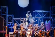 ¡Cats el fenómeno mundial del teatro musical está en Rancagua!