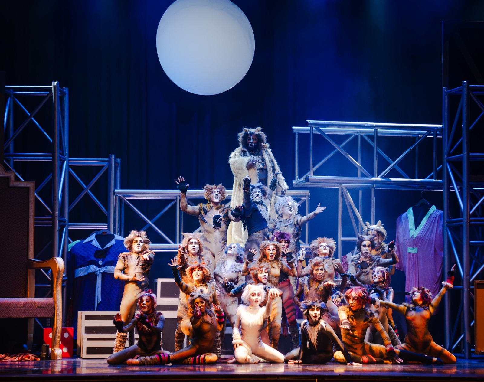 ¡Cats el fenómeno mundial del teatro musical está en Rancagua!