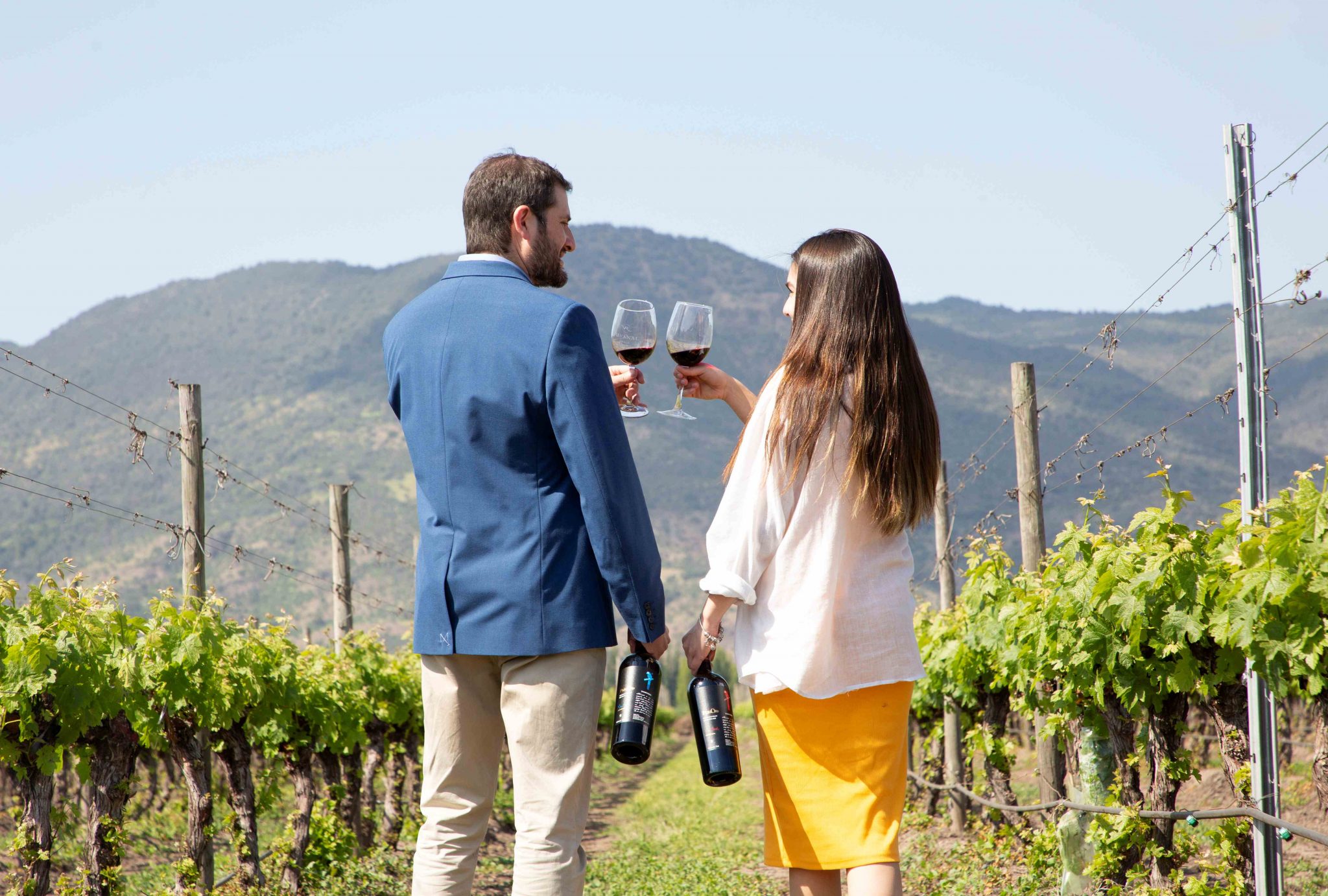 El gran momento del turismo vitivinícola sustentable en el Valle de Colchagua