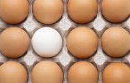Académica UOH advierte riesgos sanitarios por ingreso ilegal de huevos al país