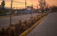 Rancagua avanza en la recuperación de espacios con intervención en bandejón central de Avenida Provincial