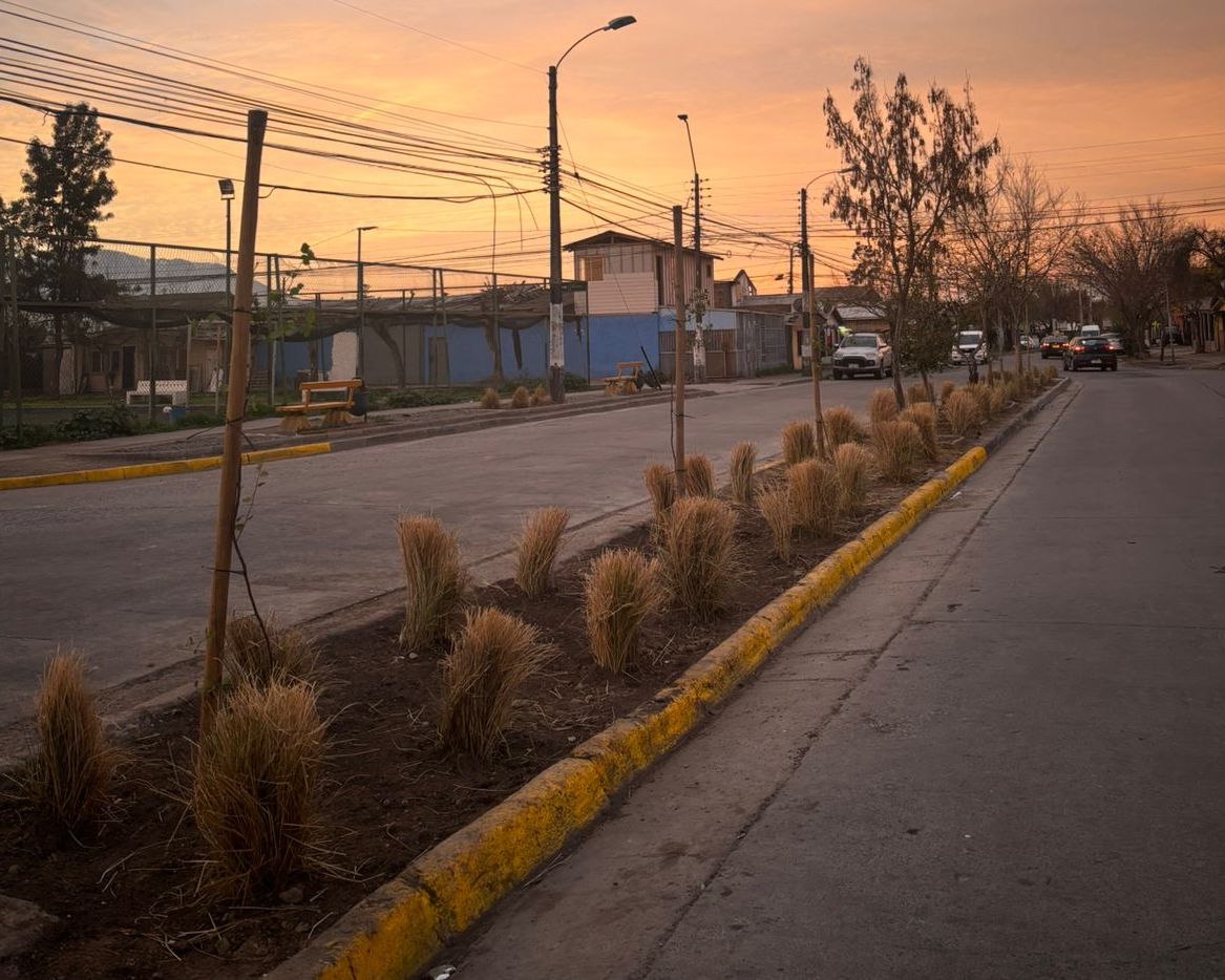 Rancagua avanza en la recuperación de espacios con intervención en bandejón central de Avenida Provincial