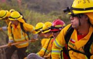 Llaman a postular a brigadistas forestales para enfrentar la temporada de incendios 2025–2026