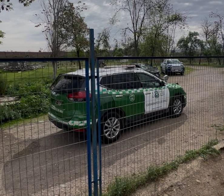 Brutal caso de maltrato animal sacude a Rancagua: desconocidos irrumpen en canil municipal para robar perros