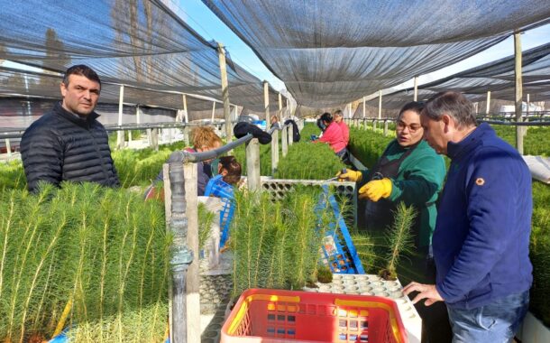CONAF comprometida con la mitigación del cambio climático  a través de la plantación de más de 143 mil árboles