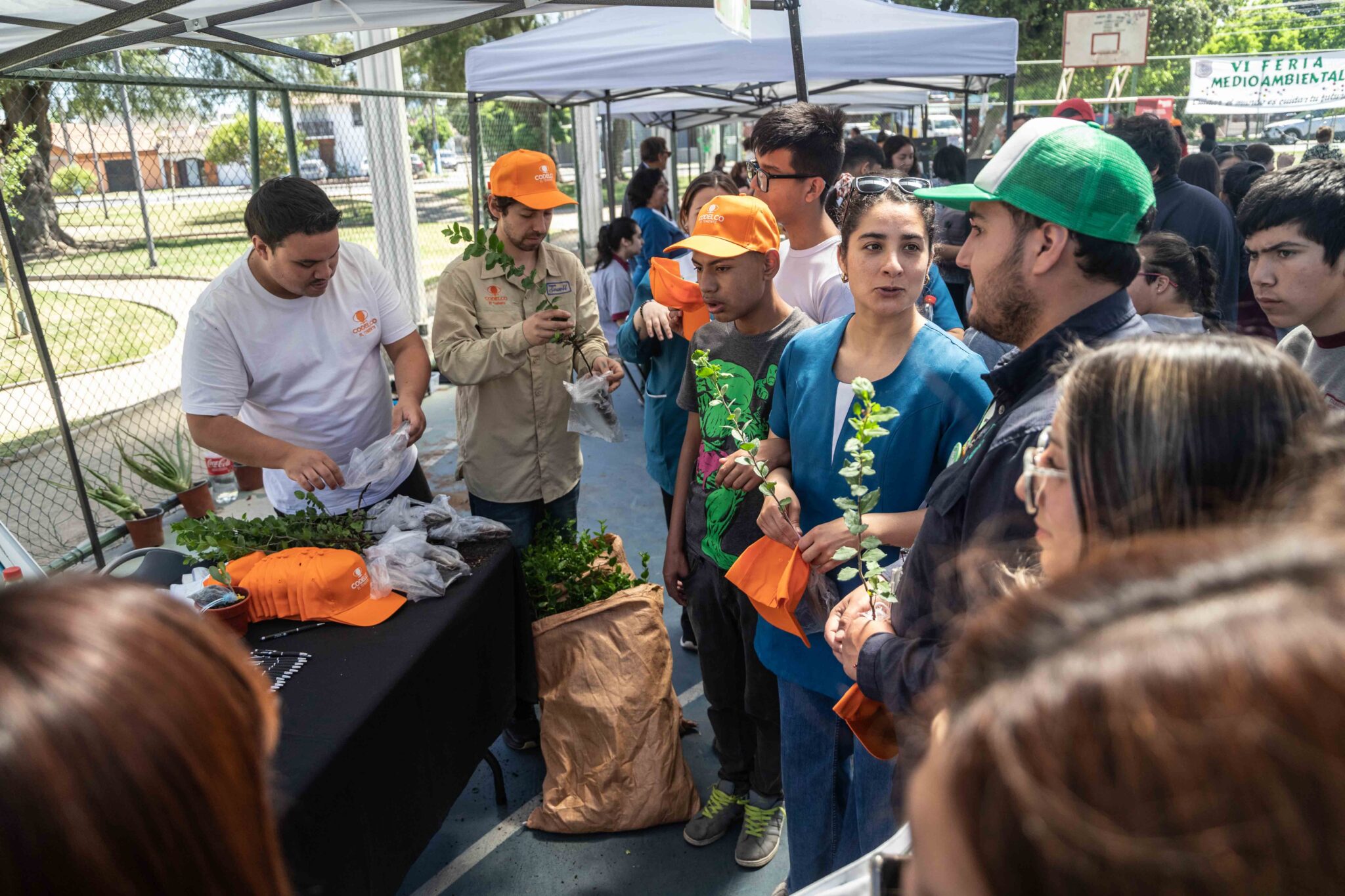 División El Teniente apoya programas de reforestación durante VI Feria Medioambiental en Población Rancagua Sur