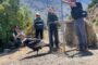 Liberan a cóndor andino que fue rescatado desde un alambrado en el Condominio Alto Nogales de Machalí