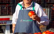 Tomate casi 19% más barato este verano: producción se dispara en la zona central