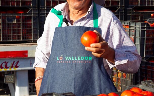 Tomate casi 19% más barato este verano: producción se dispara en la zona central