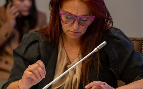 Diputada Carolina Cucumides denuncia 