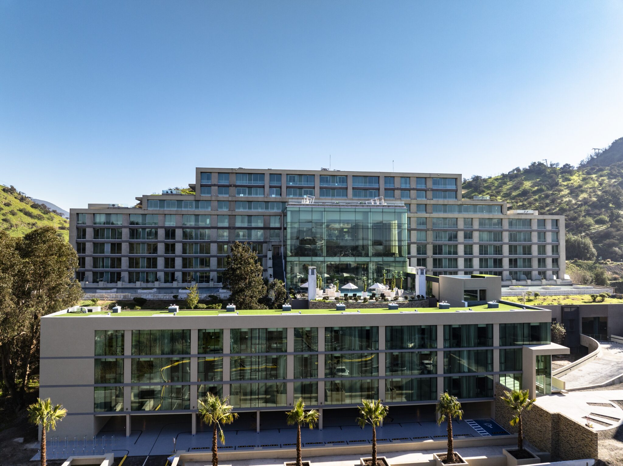 Con pasión y propósito: las mujeres que impulsan Monticello