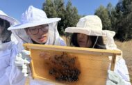 UOH recibe a alumnos de la Escuela Agrícola Cristo Obrero en su laboratorio y apiario