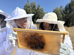 UOH recibe a alumnos de la Escuela Agrícola Cristo Obrero en su laboratorio y apiario