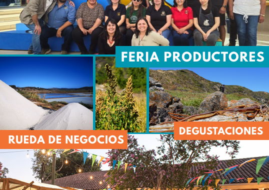 El sabor territorial: UOH conmemora la Cocina Chilena con Feria “La Despensa de O’Higgins”