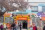 Rancagua: Municipio inauguró mural “Sembrar hoy y cosechar mañana”
