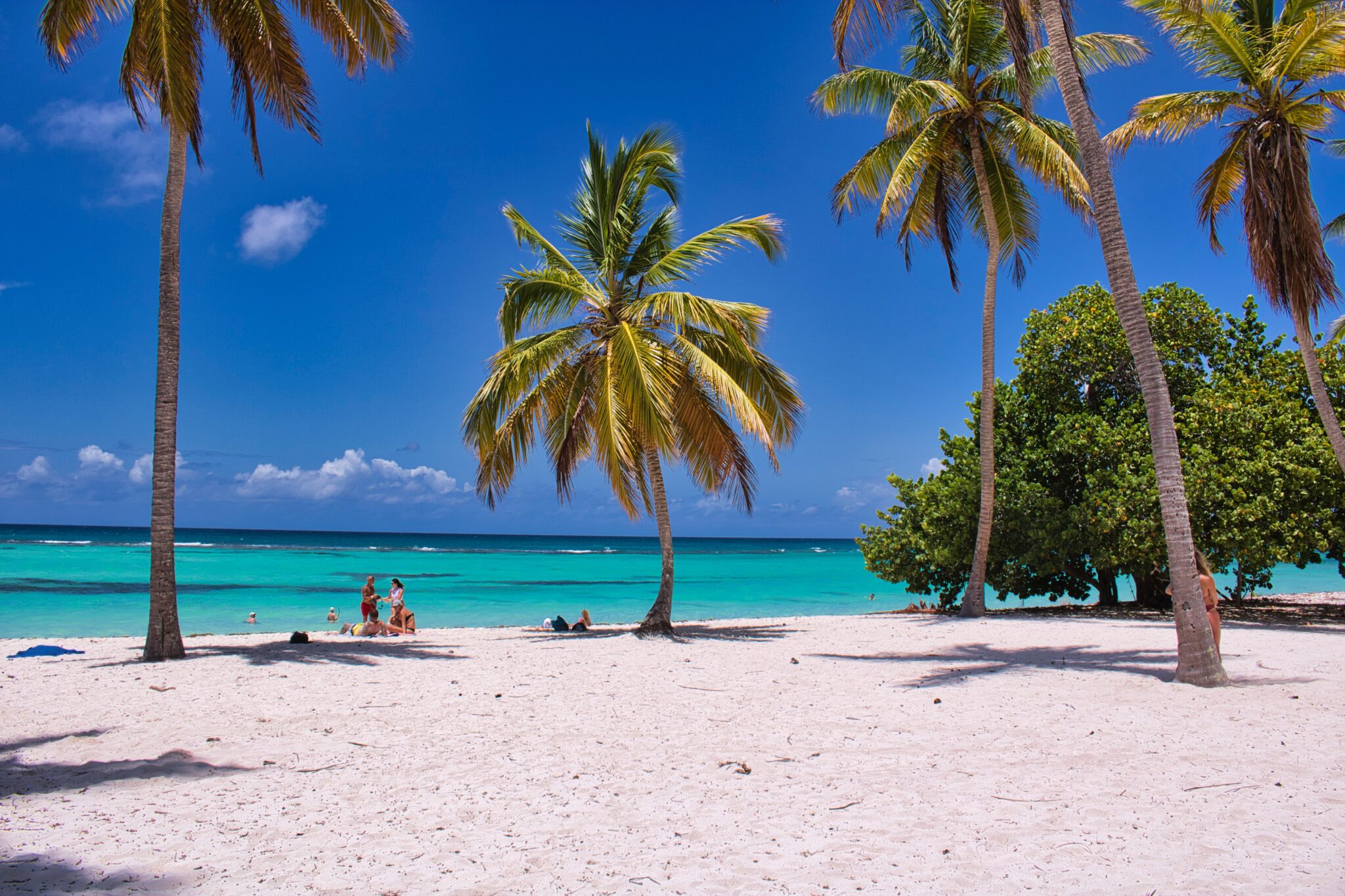 Vacaciones de invierno al sol: Brasil, Colombia y el Caribe lideran las preferencias de los chilenos