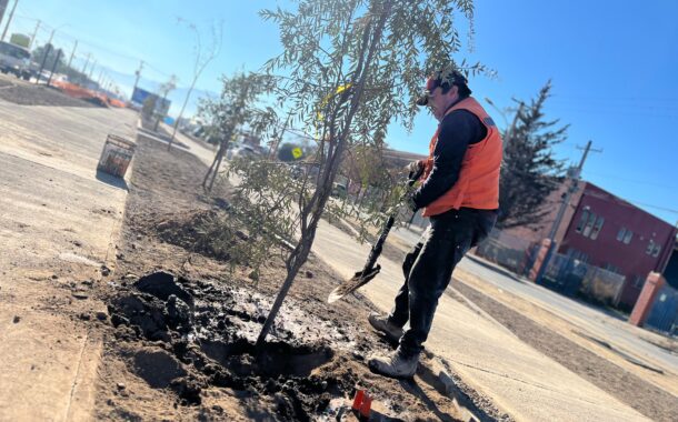 Municipalidad de Rancagua avanza en la construcción del nuevo bandejón de calle Constanza