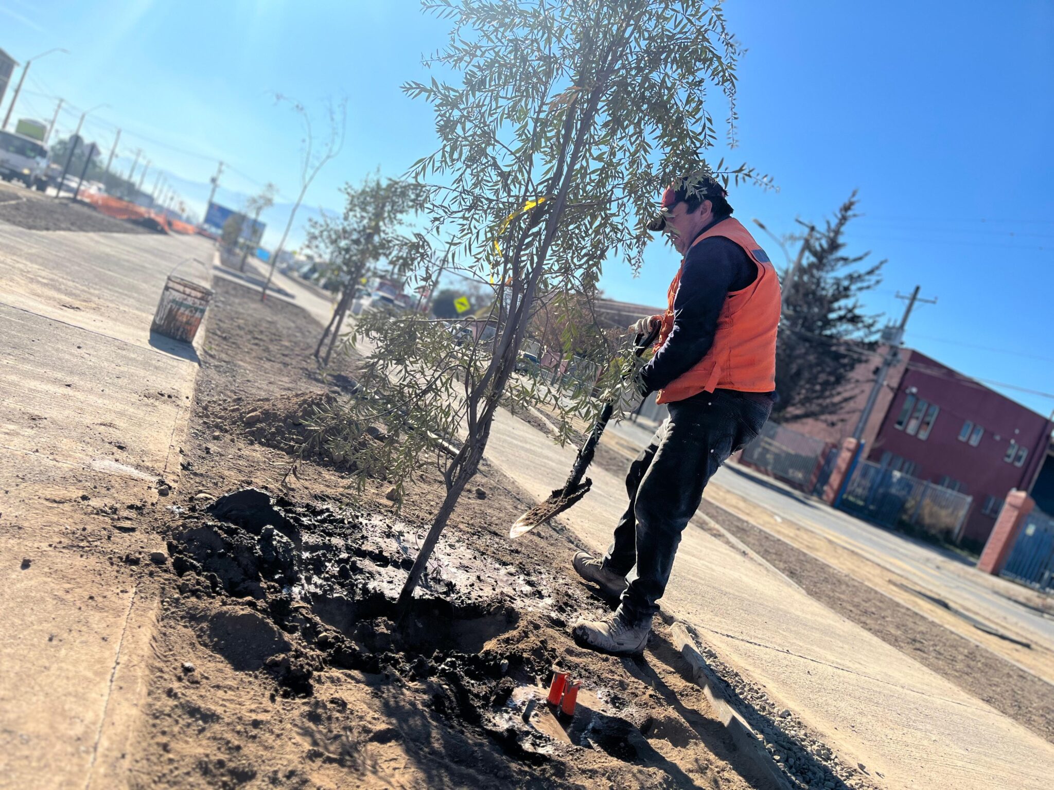 Municipalidad de Rancagua avanza en la construcción del nuevo bandejón de calle Constanza
