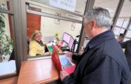 Municipio de Rancagua presentó recurso de protección contra CGE tras mutilación de árboles en Parque El Sol