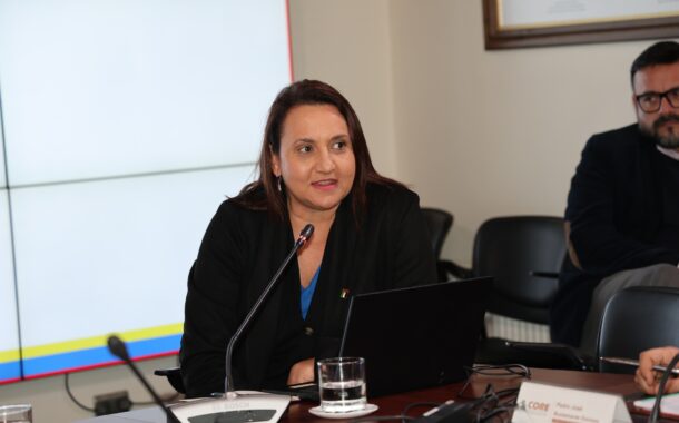 Rectora UOH presentó al Consejo Regional los avances que consolidan a la Universidad Estatal tras sus primeros 11 años de vida