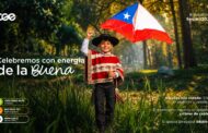 CGE inicia campaña nacional “Volantín Seguro 2026” para prevenir accidentes relacionados con las redes eléctricas durante las Fiestas Patrias