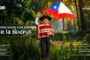 CGE inicia campaña nacional “Volantín Seguro 2026” para prevenir accidentes relacionados con las redes eléctricas durante las Fiestas Patrias