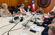 Rancagua contará con nueva Veterinaria Municipal: Concejo aprobó por unanimidad $170 millones para adquirir inmueble