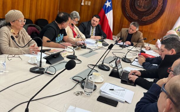 Rancagua contará con nueva Veterinaria Municipal: Concejo aprobó por unanimidad $170 millones para adquirir inmueble
