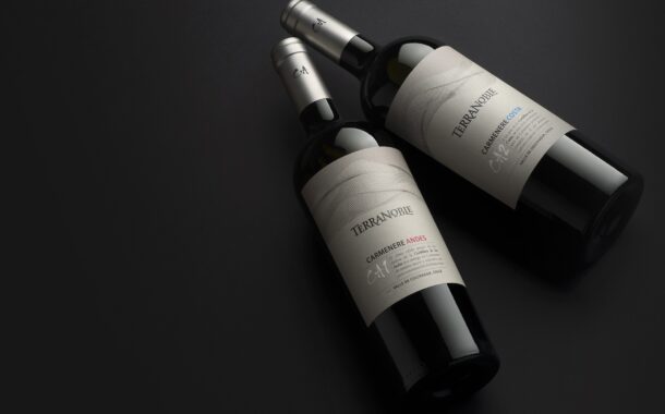 Viña TerraNoble gana medalla de oro en el Global Carmenére Masters de The Drinks Business consolidándose como referente mundial de la variedad