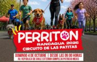 Este domingo Rancagua se llena de patitas! Municipalidad invita a disfrutar en familia de la gran Perritón 2026