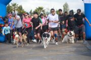 Perritón Rancagua 2026 reunió a centenares de familias en una jornada de recreación y tenencia responsable
