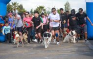 Perritón Rancagua 2026 reunió a centenares de familias en una jornada de recreación y tenencia responsable