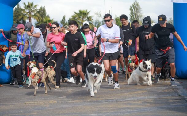 Perritón Rancagua 2026 reunió a centenares de familias en una jornada de recreación y tenencia responsable