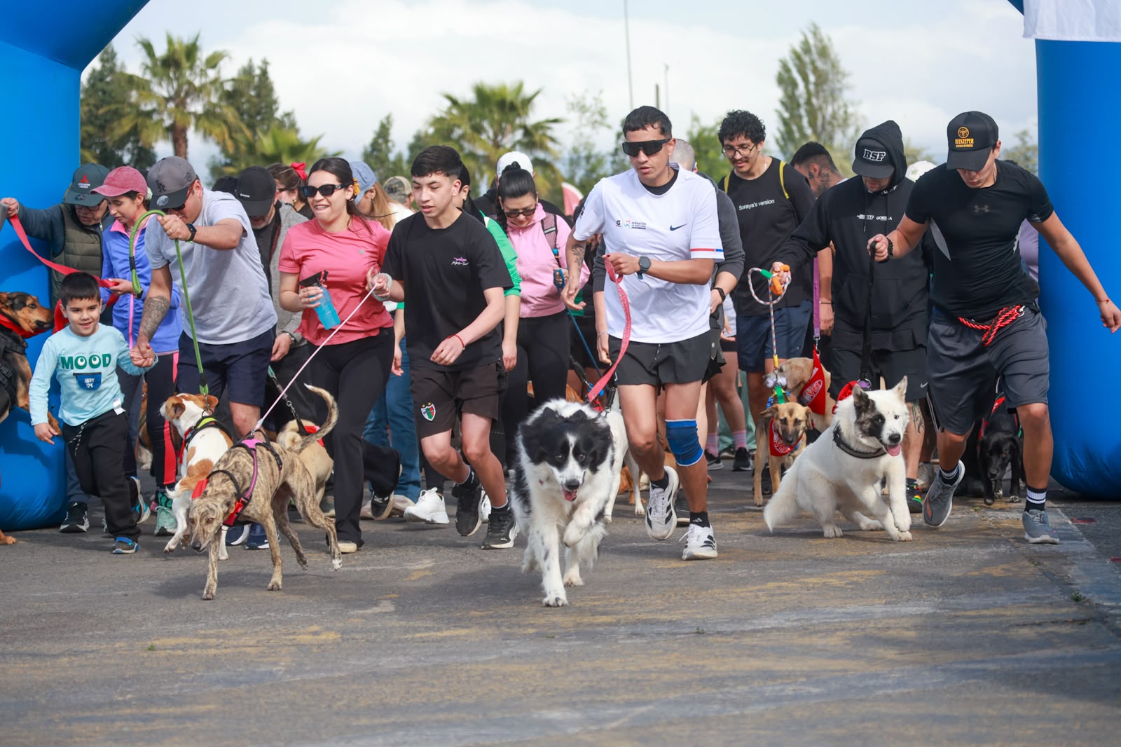 Perritón Rancagua 2026 reunió a centenares de familias en una jornada de recreación y tenencia responsable